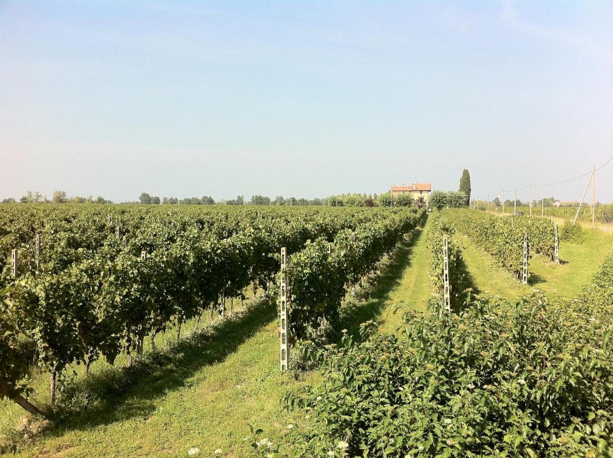 Cascina Tabachera X10 Country House Sirmione Garda Lake ปอสโซเลงโก ห้อง รูปภาพ